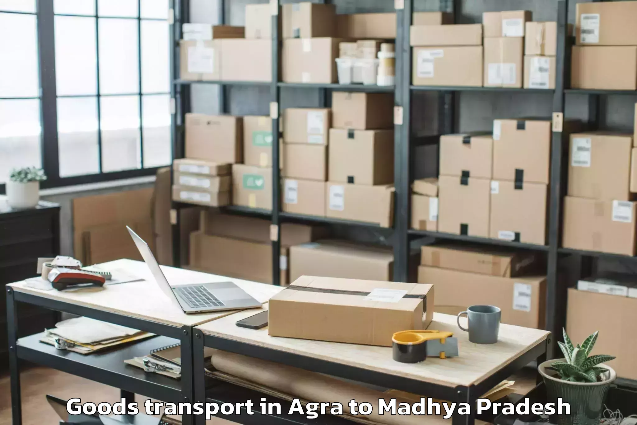 Hassle-Free Agra to Mhow Goods Transport